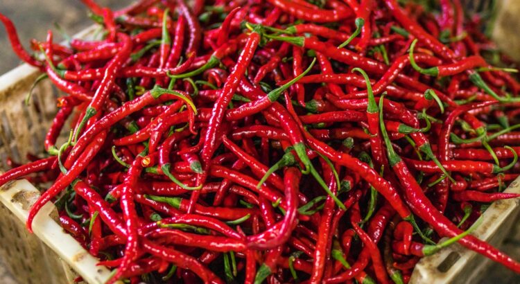 red chilies