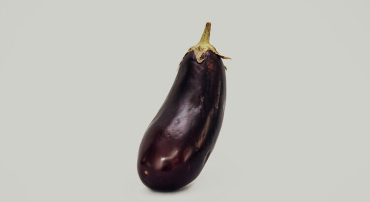purple eggplant against white background