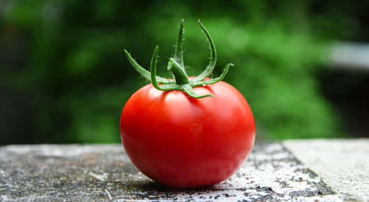 red tomato on gray concrete surface