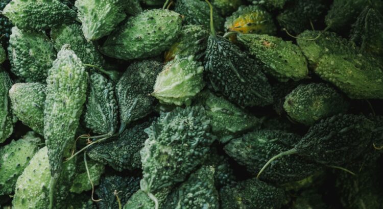 bittermelon lot
