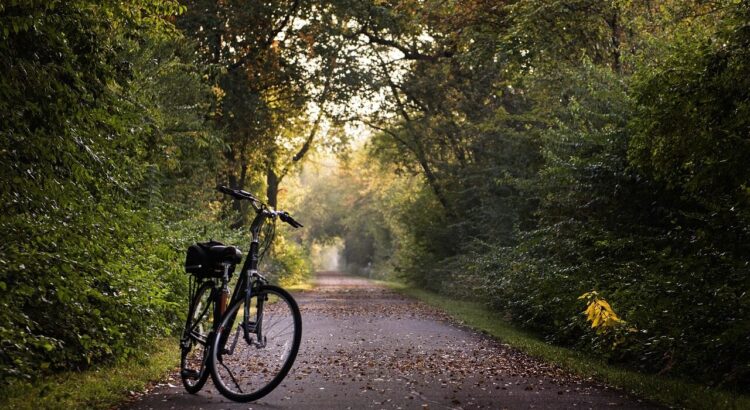 bike, trail, bicycle, sport, ride, exercise, recreation, path, lifestyle, bike, bike, bike, bike, bike, bicycle, bicycle, bicycle, exercise, exercise