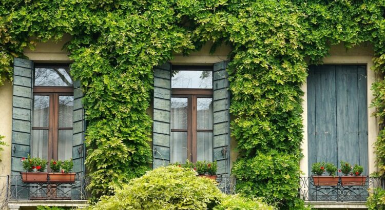 window, ivy, shutter, balcony, house, italy, padua, town, facade, home, window, window, window, window, ivy, balcony, house, house, italy, italy, italy, home, home, home, home, home